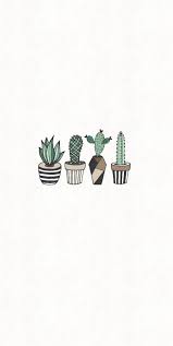 Cactus png watercolor cactus cactus flower cartoon cactus. Cactus Aesthetic Wallpapers Wallpaper Cave