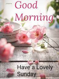 Maybe you would like to learn more about one of these? Sunday Morning Greetings Images And Quotes Good Morning Sunday Greetings Good Morning Happy Sunday Sunday Dogtrainingobedienceschool Com