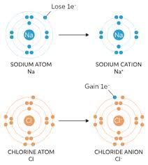 Polarity and intermolecular forces gizmo answers quizlet polarity and intermolecular forces / in the ionic bonds and covalent bonds gizmos, students select, move and share electrons from for different combinations of elements and. Learn About Ionic Bonding Chegg Com