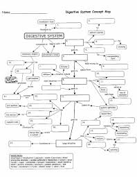 Factual Digestive System Flow Chart Answers The Human Digestive System Crossword Worksheet Answer Key In 2020 Digestive System Worksheet Concept Map Digestive System