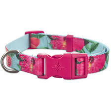 Good2go Hibiscus Dog Collar Medium In 2019 Products Dog