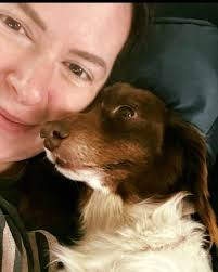 Little Paws Dachshund...