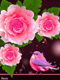 Flowers are one of the most beautiful creations of nature. Google Flowers Beautiful Roses Beautiful Flowers