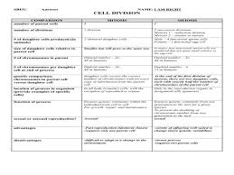 75 Unmistakable Comparing Mitosis And Meiosis Worksheet Key