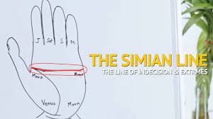 Simian lines have a higher prevalence among asians, but a simian line in both hands is usually seen in not much more than 1% among caucasians. Palmistry Understanding The Simian Line Indecisive Extreme Personality Youtube