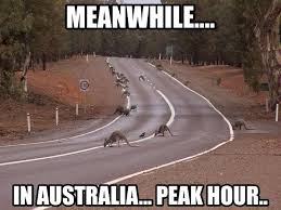 35 Australian People Problems Australia Funny Australia Meme Meanwhile In Australia