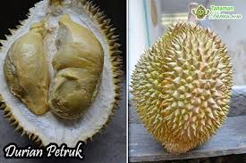 Durian kanyao dikatakan durian paling mahal di dunia, mencatatkan rekod baharu dengan harga jualan 800,000 baht (rm106,118) dalam festival buah seorang ahli perniagaan yang kaya sanggup membayar 1.5 juta baht (rm199,289) untuk membeli sebiji durian jenis kanyao pada sesi lelongan di. 3 Jenis Durian Terlezat Yang Perlu Anda Coba Kannoso Org