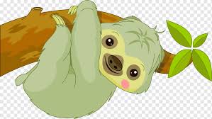 Maybe you would like to learn more about one of these? Green Koala Bear Hanging On Tree Branch Illustration Baby Sloths Cartoon Twotoed Sloth Baby Sloths Cartoon Png Pngwing