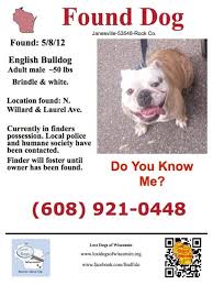 We not only have a few frenchies under our roof, but a few other pooches, and a couple of kitties, too! Found Male Englishbulldog In Janesville Wi Who S Missing This Guy Lost Dog Bulldog Plz Rt Kissbeep