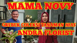 We did not find results for: Blpyjbshqkvpum