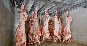 Rails have a weight limit of 10kg / metre. Meat Cold Storage Refrigeration Freezer Solutions Crs Ireland