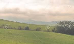Garden features and elements in rio grande do sul‎ (53 c) Fields In The Pampas Region Of The State Of Rio Grande Do Sul Southern Brazil Pampa Biome Rural Landscape With Fog At Dawn Rural Area And Agricultural Exploitation Pasture Fields Stock Photo