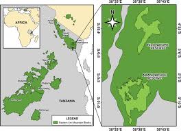 Image result for Rothmannia manganjae