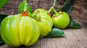 Image result for Garcinia acutifolia