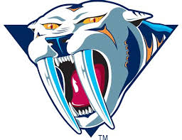 Discuss the nhl, ahl, khl, nwhl, iihf and every other hockey league you can think of! Nhl Alternate Logos