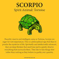 You are driven by certain principles that make you shine in the also, you tend to be a very good lover. Trustedteller You Need To Meet The Scorpios At The Whole Facebook