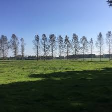 Het is ook één van de meest waardevolle beekvalleien van vlaanderen. Vallei Van De Zwarte Beek 147 Besucher