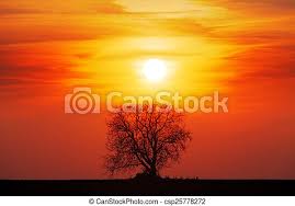 We did not find results for: Tree Silhouette With Sun And Red Orange Yellow Sky Canstock