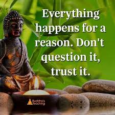  Pin On Buddha Quote