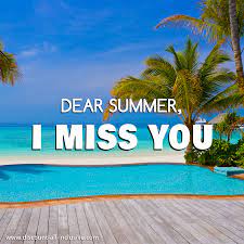 I've split them into categories to make quote categories. Dear Summer I Miss You Needing You Quotes I Needed You Quotes Vacation Quotes