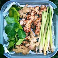 Maybe you would like to learn more about one of these? Bumbu Paket Jahe Kunyit Laos Kunyit Kencur Sereh Daun Salam Daun Jeruk Shopee Indonesia