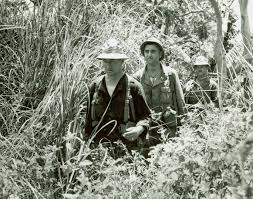 Image result for Priming Green 1918 Military