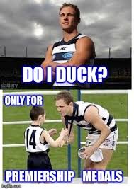 Selwood Geelong Cats Football Geelong Cats Geelong Football Club