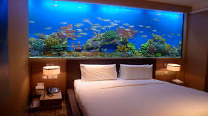 It's compact enough to place on your desk or in a small space at home. Aquarium In Wall Home Design Ideas Pictures Remodel Design Pics