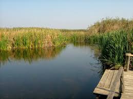 Parcul cuprinde trei arii protejate: Parcul Natural Comana Viziteaza Obiectiv Turistic Romaniaroute Team