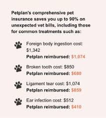 2021 petplan pet insurance review. 95 Dog Insurance Ideas Dog Insurance Vet Bills Dogs