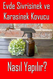 Evde Sivrisinek Karasinek Kovucu Sprey Nasil Yapilir Evde Nasil Yapilir Dogal Sifali Otlar Dogal Saglik
