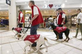 During this test, your dog will need to show the right qualities for therapy work. Therapy Dog Certification Online Service Dog Certifications