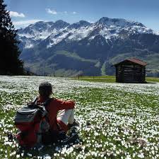 Skifahren Winterurlaub Aktiv Und Tiroler Charme In Der Wildschonau Visit Austria Alps Austria Tirol Austria