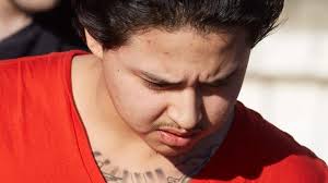 Deer Park man pleads not guilty to fatal stabbing