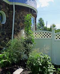 As for the fallen fruits, the courts are still divided on that one. What Are Columnar Fruit Trees How To Grow A Columnar Fruit Tree