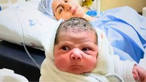 Richard Meakin Waltzer Hemby Norfolk 7th August 2010