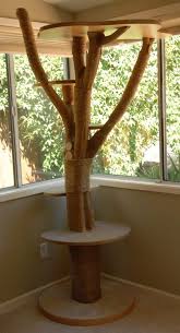9 Diy Pet Playgrounds That Are Paw Sitively Perfect Cat Playground Cat Tree Cat Room