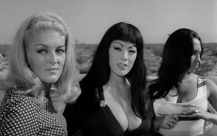 THE RUSS MEYER FILES: FASTER, PUSSYCAT! KILL! KILL! (1965) – Podcasting  Them Softly
