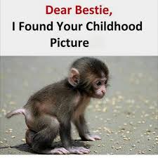 33+ absolutely funny jokes to tell family and friends 2021. 40 Crazy Funny Friendship Quotes For Best Friends Dreams Quote