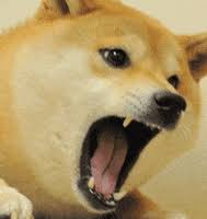 ## the wowest dogecoin memes on the internet ## ## dmemes8yre3yvrsuqn9vrgbkutwzzjseje ## run by @dimifw @spendyourdoge. Doge Gifs Get The Best Gif On Giphy