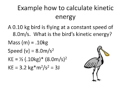It gains kinetic energy only when it moves. Ppt Kinetic And Potential Energy Powerpoint Presentation Free Download Id 4271394