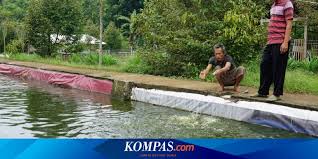 Demikian undangan ini kami sampaikan, mohon untuk dapat hadir tepat waktu. Contoh Surat Mohon Naik Taraf Jalan Contoh Lif Co Id