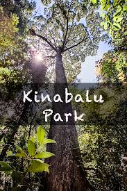 Press alt + / to open this menu. Mountain Escape At Kinabalu Park The Happy Kid Family Travel Kinabalu Park World Heritage Sites Mountain Escapes