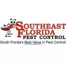Termites treatment, bed bugs control, extermination services, pest control (bugs exterminators) pest control; The 10 Best Exterminators In Fort Lauderdale Fl With Free Estimates