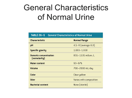 lab 41 urinalysis urine 180l day filtrate 1 8l day urine