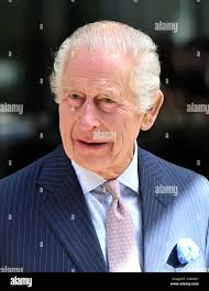 Pink t rex hi-res stock photography and images