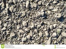 Background With A Many Gray Stones And Shells In A Dry