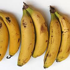 Image result for Musa acuminata