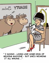 Clean Animal Jokes Animal Jokes For Kids Cows Funny Animal Jokes Funny Cartoons