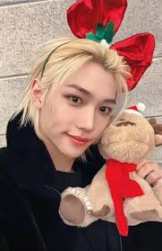 Growing and identifying fuchsia plants in Australia